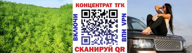 ТГК Wax Снежногорск