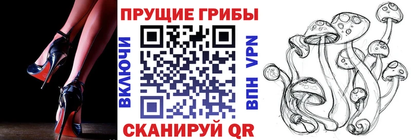 Псилоцибиновые грибы мицелий Снежногорск